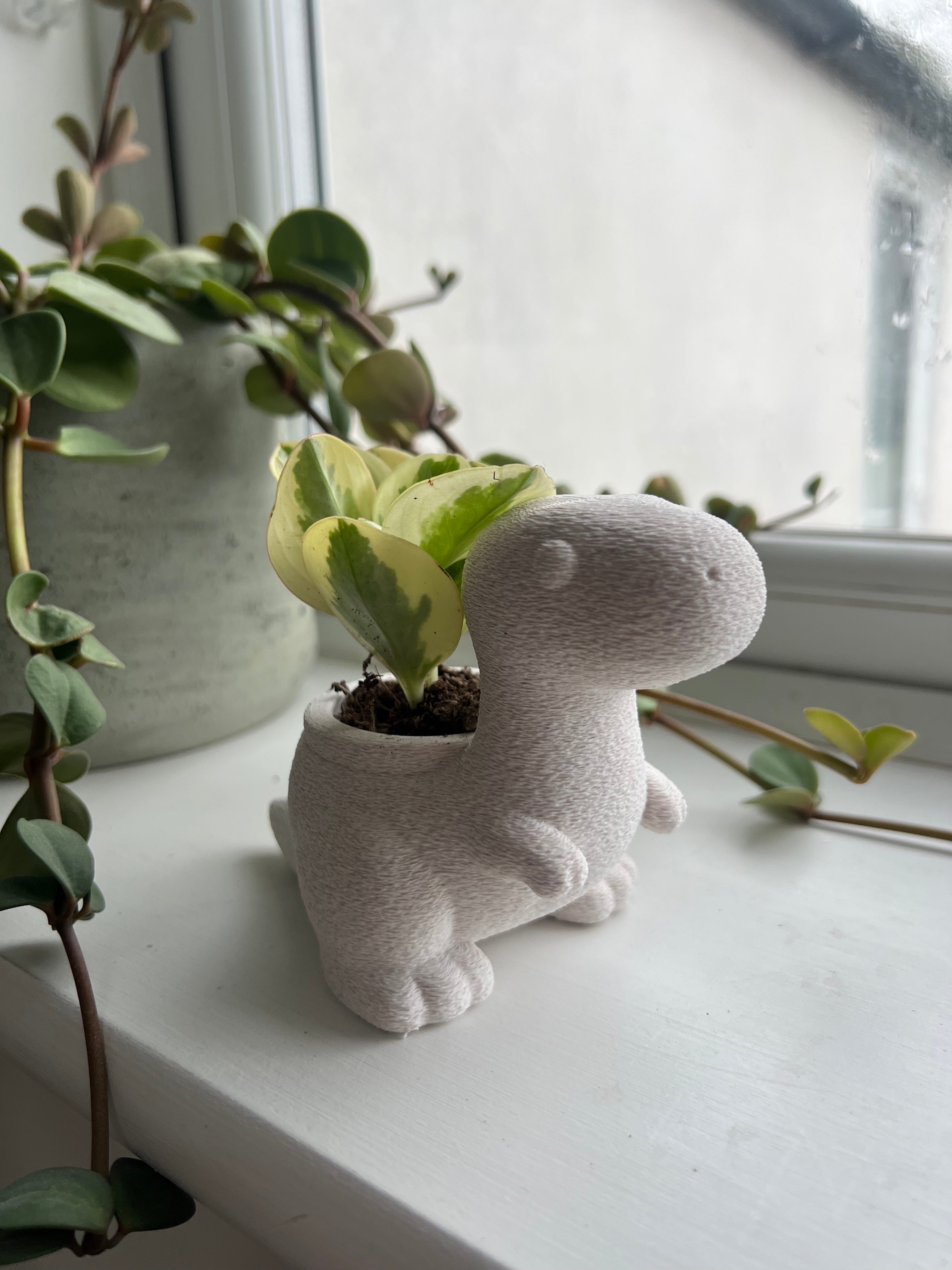 T-Rex Planter