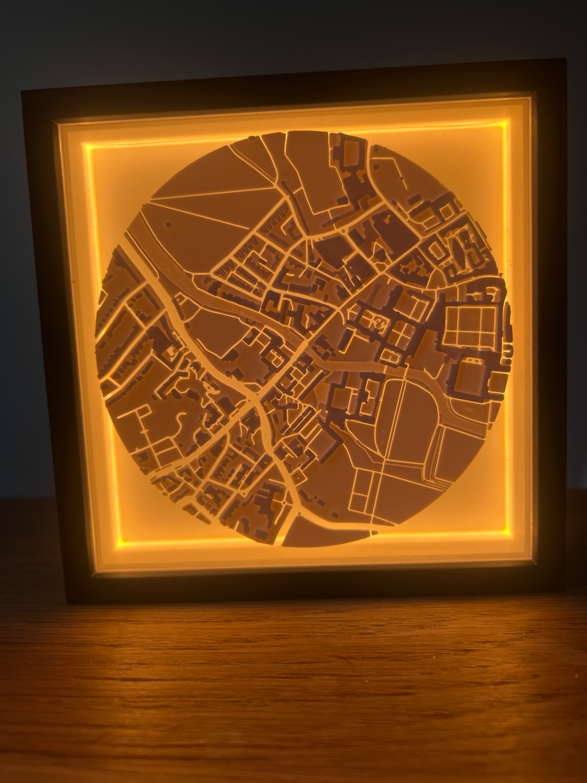 Custom 3D Map - Framed